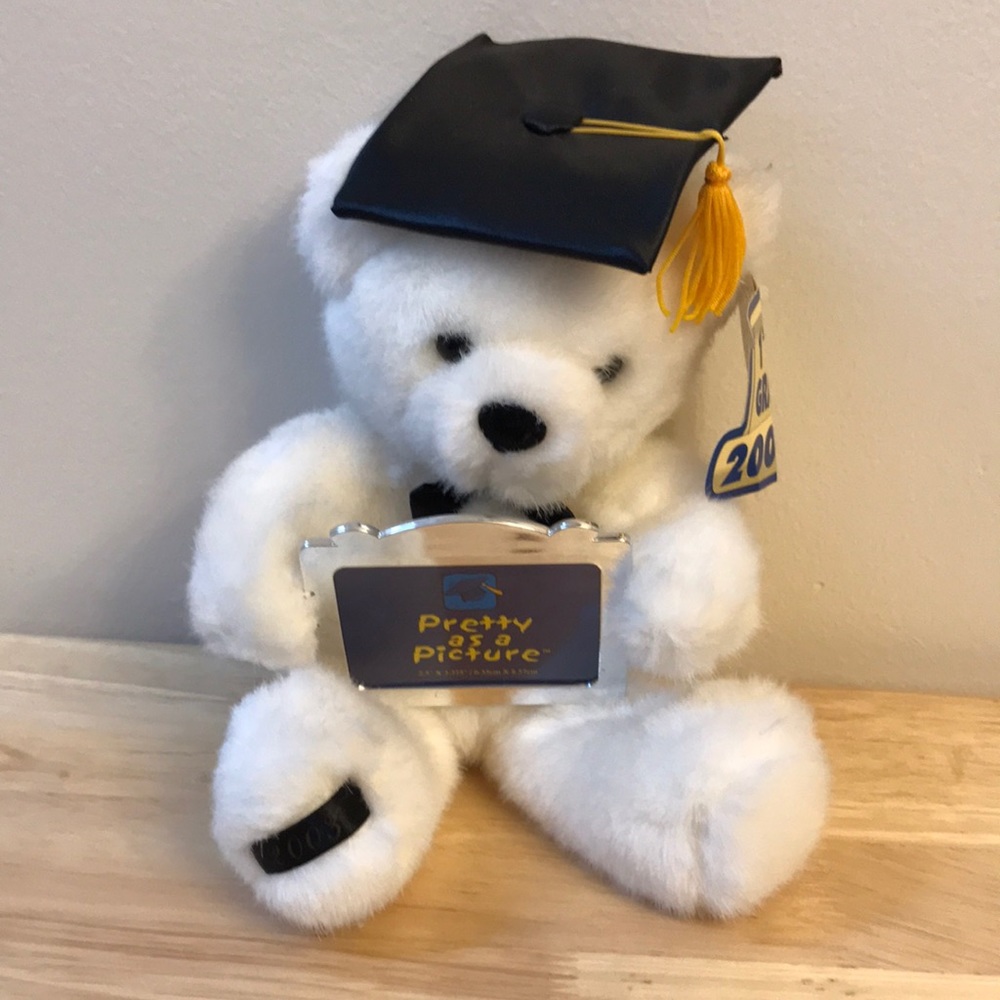 🍀2 for $10 Sale☘️Vintage class of 2003 plush bear with photo frame